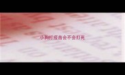 小狗打疫苗会不会打死