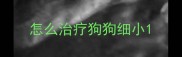 怎么治疗狗狗细小