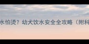 拉布拉多喝热水怕烫幼犬饮水安全全攻略附科学饮水指南