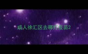成人徐汇区去哪打疫苗