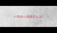 小狗细小病毒怎么治