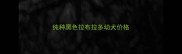 纯种黑色拉布拉多幼犬价格