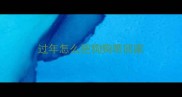 过年怎么把狗狗带回家
