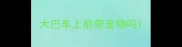 大巴车上能带宠物吗