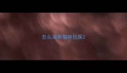 怎么调教猫咪拉屎