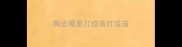 狗去哪里打疫苗打疫苗