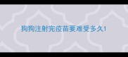狗狗注射完疫苗要难受多久