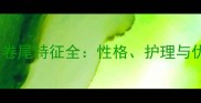 金毛寻回犬卷尾特征全性格护理与优缺点指南