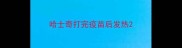 哈士奇打完疫苗后发热