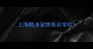 上海酷迪宠物美容学校
