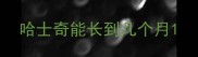 哈士奇能长到几个月