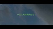 5个月大的狗狗丢了