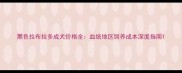 黑色拉布拉多成犬价格全血统地区饲养成本深度指南