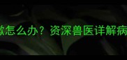 哈士奇肚子抽搐咳嗽怎么办资深兽医详解病因与紧急处理指南