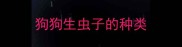 狗狗生虫子的种类