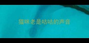 猫咪老是咕咕的声音