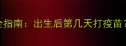 泰迪幼犬疫苗接种全指南出生后第几天打疫苗时间表与注意事项