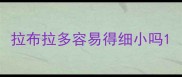 拉布拉多容易得细小吗