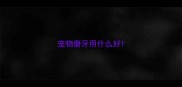 宠物磨牙用什么好