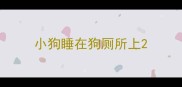 小狗睡在狗厕所上