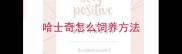 哈士奇怎么饲养方法