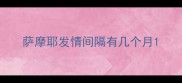 萨摩耶发情间隔有几个月