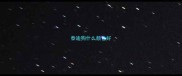 泰迪狗什么颜色好