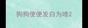 狗狗便便发白为啥