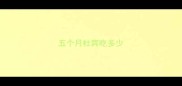 五个月杜宾吃多少