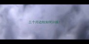 三个月边牧如何训练