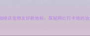 拉布拉多主题咖啡店宠物友好新地标探秘网红打卡地的治愈系咖啡体验