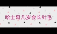 哈士奇几岁会长针毛