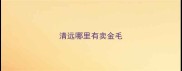 清远哪里有卖金毛