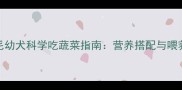 5月龄金毛幼犬科学吃蔬菜指南营养搭配与喂养误区全