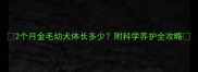 2个月金毛幼犬体长多少附科学养护全攻略