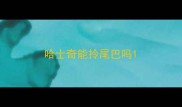 哈士奇能拎尾巴吗