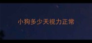 小狗多少天视力正常