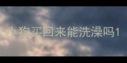 小狗买回来能洗澡吗