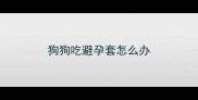 狗狗吃避孕套怎么办