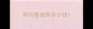 郑州泰迪狗多少钱