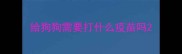 给狗狗需要打什么疫苗吗