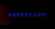 泰迪狗骨折怎么治疗