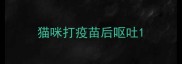 猫咪打疫苗后呕吐