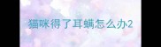 猫咪得了耳螨怎么办
