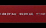 拉布拉多成年犬健康养护指南科学管理体重关节与皮毛的三大关键