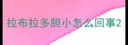 拉布拉多胆小怎么回事