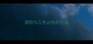 澳牧与三色边牧的区别