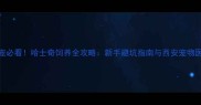 西安养宠必看哈士奇饲养全攻略新手避坑指南与西安宠物医院推荐