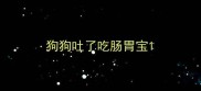 狗狗吐了吃肠胃宝