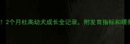 新手必看2个月杜高幼犬成长全记录附发育指标和喂养攻略